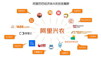 阿里興農生態(tài)圈再添新地標 盒馬擴建引領農產品直供直銷新鏈路